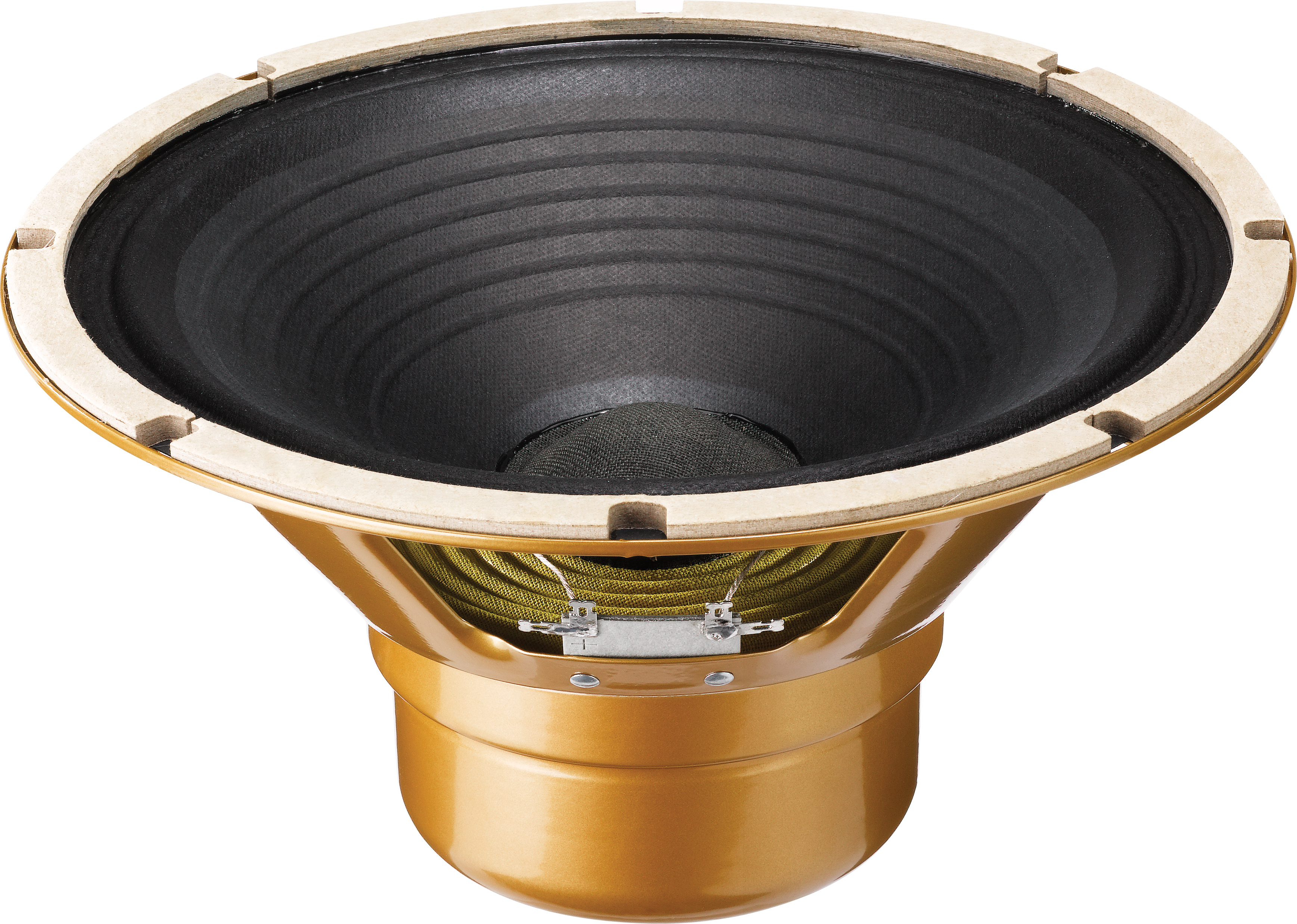 G10-GOLD von Celestion