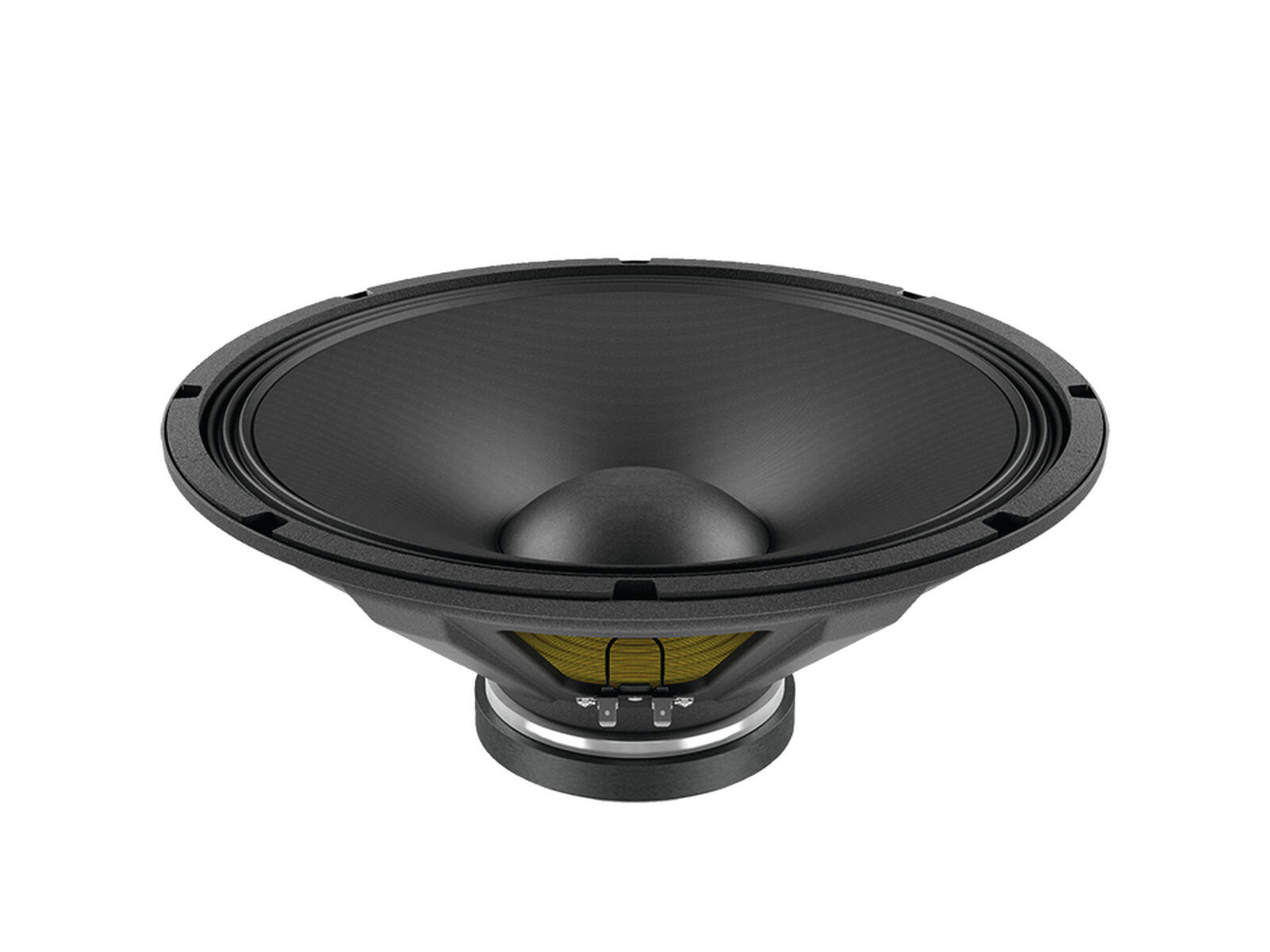 FBASS15-20 von Lavoce