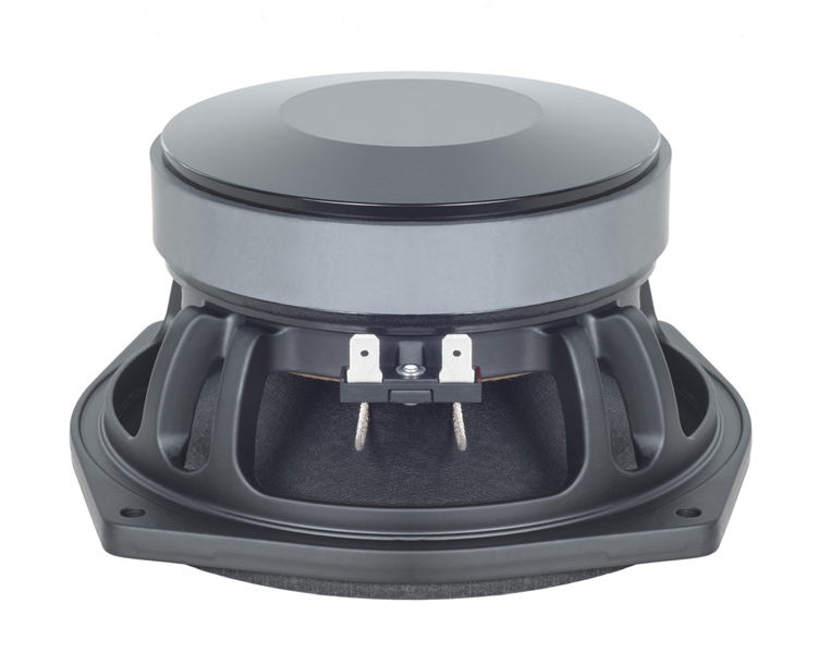 B&C Speakers 6PS38 8 Ohm